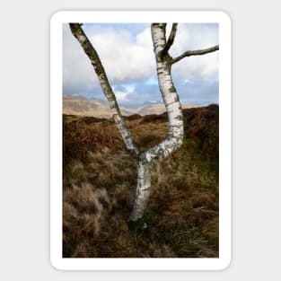 Silver on the Fell Sticker